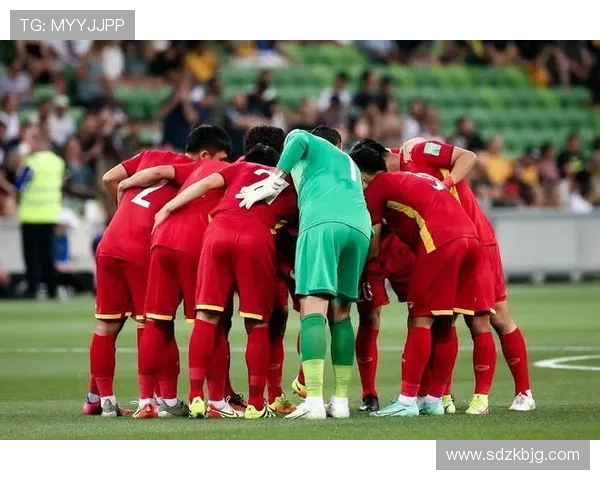 越南队近期伤病名单及对阵容影响分析