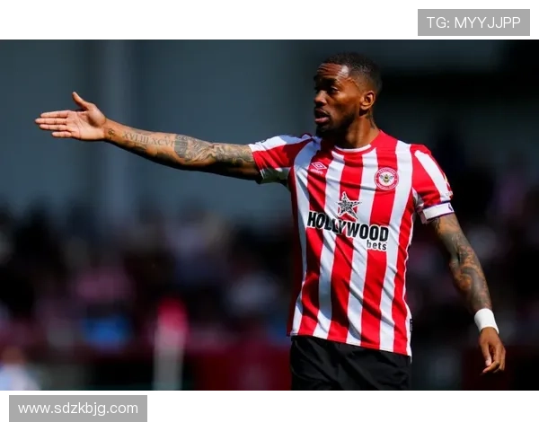 布伦特福德2025赛季英超表现稳健竞争力增强