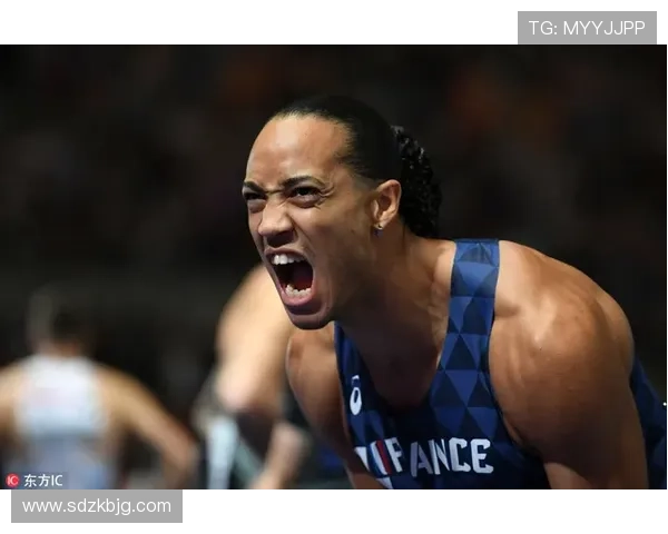 马尔蒂诺比赛阅读