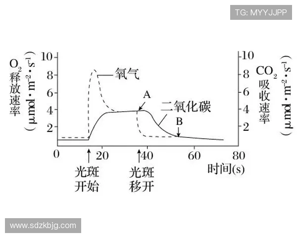 波黑B组进攻表现:末轮三球释放压力