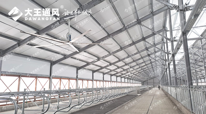 9851f045e3aa5eabc121ac50cecbe542.jpg 20230629/9851f045e3aa5eabc121ac50cecbe542.jpg