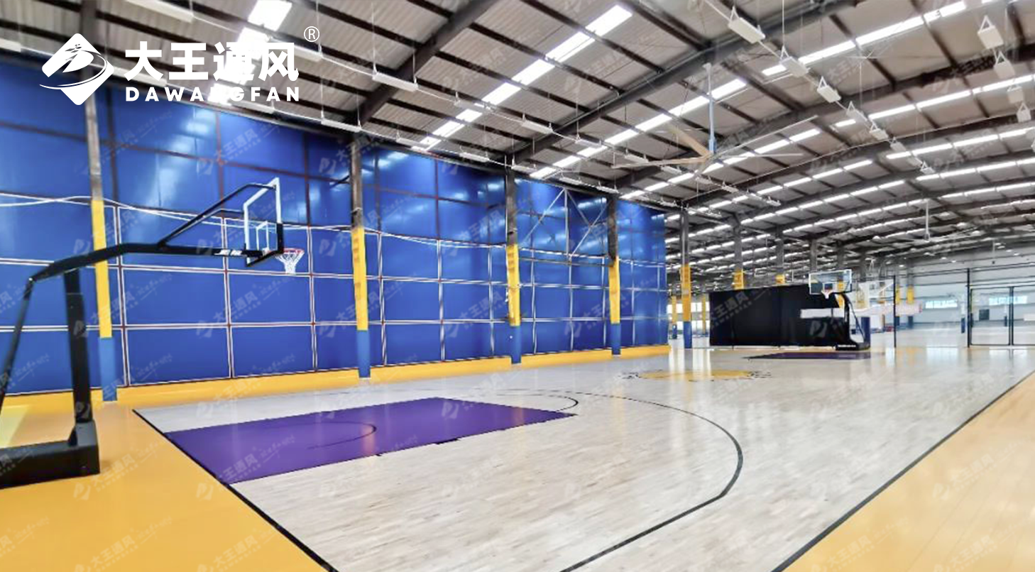 74334031e76f744c6f53b40498b6fad4.png 20240805/74334031e76f744c6f53b40498b6fad4.png